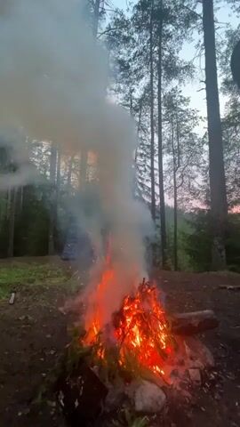 The video shows a large bonfire in a forest clearing. The fire is burning intensely with flames reaching high and producing a lot of smoke. The fire is built in a pit with stones around it, and some logs and branches are visible in the foreground. In the background, there are tall trees and a hint of a pink sky, suggesting it is dusk or dawn. There is a blue tent partially visible in the distance to the left of the bonfire, and a person's arm and shoulder are visible in the upper right corner of the frame. The ground around the fire appears to be dirt and fallen leaves. Sparks are seen flying from the fire.