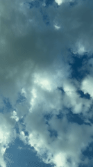 Bird filmed flying through cloudy skies over Târgu Mureș