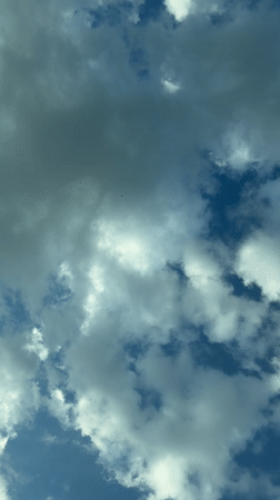 Bird filmed flying through cloudy skies over Târgu Mureș