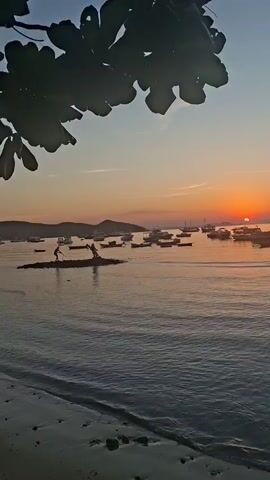 The video captures a serene coastal scene at either sunrise or sunset in Armação dos Búzios, Brazil. The sky displays a beautiful gradient of soft orange and yellow hues near the horizon, transitioning to a light blue overhead. The sun, a bright orange disc, is visible low on the horizon, casting a warm glow over the water.

In the middle ground, numerous boats of various sizes, appearing to be fishing vessels and small yachts, are anchored in the calm, reflective waters of the bay. Their silhouettes are visible against the bright sky and water.

Closer to the sandy shoreline, which is visible in the foreground, two figures are present in the shallow water. One individual appears to be holding a net or pole, suggesting they are fishing or working in the water. Hills or mountains form the distant background, silhouetted against the bright sky.

A dark, leafy tree branch, possibly from a large tree, hangs into the frame from the top left, providing a natural frame for the scenic view. The overall atmosphere is peaceful and tranquil.