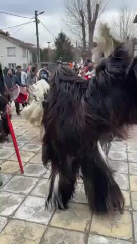 The video shows a group of people dressed in various traditional costumes dancing in an outdoor setting. The location appears to be a town square or pedestrian area paved with square tiles. The weather seems overcast.

Several individuals are wearing large, furry costumes in colors like black, gray, and white. These costumes cover their bodies, obscuring their features. Some are holding long red sticks. The costumes are in motion, suggesting the wearers are dancing or moving rhythmically.

Other people are dressed in more elaborate costumes featuring bells and colorful patterns. One person is playing a musical instrument that looks like a wind instrument. Behind the costumed individuals, a crowd of onlookers stands and watches.

The background consists of buildings, including houses and what appears to be a small shop. A Bulgarian flag is also visible within the crowd. The scene gives the impression of a cultural event or festival.