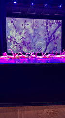 Dance recital and street scenes captured in Khimki, Russia