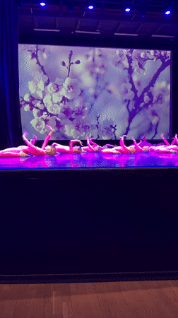 Dance recital and street scenes captured in Khimki, Russia