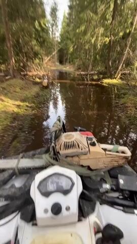 From a first-person perspective, a white ATV drives through a shallow, muddy body of water in a forest. A chainsaw rests on the front of the ATV. Tall green trees surround the body of water. Cut logs are on the sides of the water. The ATV's dashboard is visible.