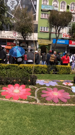 Public demonstration draws crowds to La Paz streets
