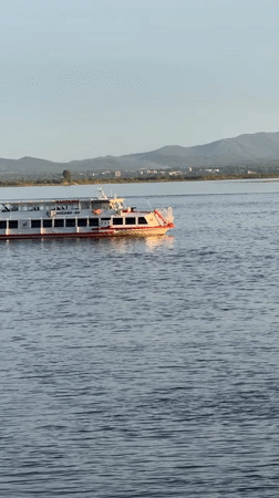 Passenger boat Sapsan 333 spotted on Khabarovsk waterway