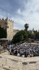 Flag-carrying crowd gathers in al-Eizariya public square
