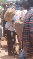 Crowded outdoor market scene with people and goats observed