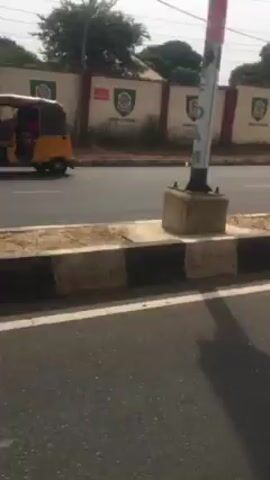 The video shows a low-angle shot of a road. A concrete barrier with black and white markings runs along the edge of the road. On the other side of the road is a wall with multiple identical crests on it. Trees are visible in the background behind the wall. A light pole is also visible. The sky is overcast. The camera appears to be moving slowly, possibly from a vehicle or while being held by someone walking.