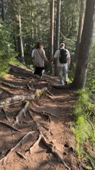 Afternoon hike through Votkinsk forest trails near Lake Vodopad