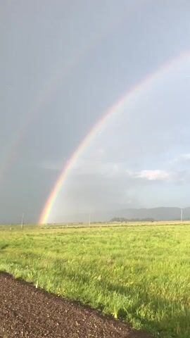 A vibrant rainbow arcs across a sky that transitions from a stormy grey on the left to a clear blue on the right, with scattered clouds. The rainbow is a prominent subject, with its colors clearly visible. Below the sky, a vast, lush green field stretches towards a distant treeline and rolling hills, suggesting a rural or agricultural setting. Several utility poles are spaced across the field, indicating human presence and infrastructure in the area. The foreground shows a dirt path or road. The lighting suggests it is either early morning or late afternoon, given the soft, diffused light and the angle of the sun implied by the rainbow. The weather is transitioning from rain to clear conditions, creating the dramatic sky. The overall mood is one of natural beauty and tranquility, with the rainbow offering a sense of wonder and hope after a storm. There is no visible text in the media file.