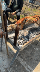 Lamb roasted on outdoor rotisserie spit in Kameno, Bulgaria