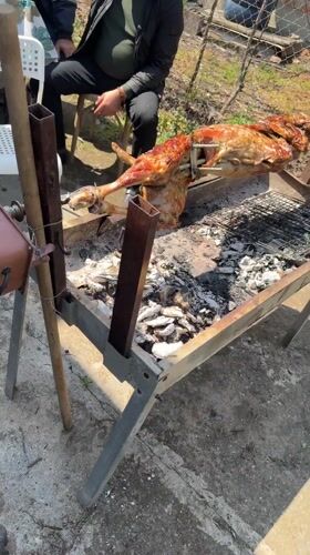 Lamb roasted on outdoor rotisserie spit in Kameno, Bulgaria