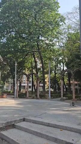 The video shows a park with several people walking around. The park has tall trees, brick columns with metal decorations, and brick paths. One man is standing, looking up at the trees. Another man is walking towards the camera with a white object in his hand. In the distance, there are more people gathered in a central area of the park.