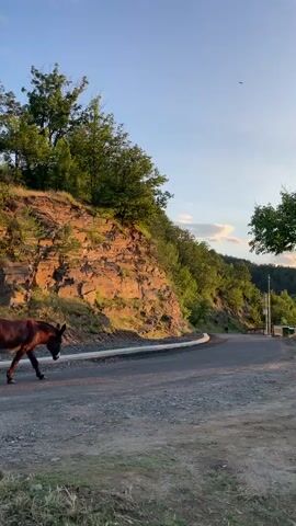 A donkey walks along a paved road with a dirt shoulder. The road curves to the right, with a steep, rocky hillside covered in green trees on the left. The sun is low in the sky, casting a warm glow on the rocks and trees. The sky is clear with a few wispy clouds. Another dark animal, possibly a dog, can be seen in the distance on the road. The overall scene depicts a rural landscape at dusk.