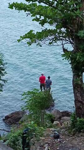 Two people are standing on a rock in the ocean. One person is wearing a red shirt and a white hat, and the other person is wearing a gray shirt. They are both facing away from the camera, looking out at the water. There is a tree to the right of the frame, and vegetation in the foreground. The water is a light blue color and appears to be choppy.