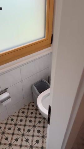 The video shows a small bathroom with patterned tile floors, a white toilet, and a small trash can. A person's hand reaches towards the frosted window and opens it. The view outside reveals a lush green landscape with trees, a paved area with furniture, and snow-capped mountains in the distance.