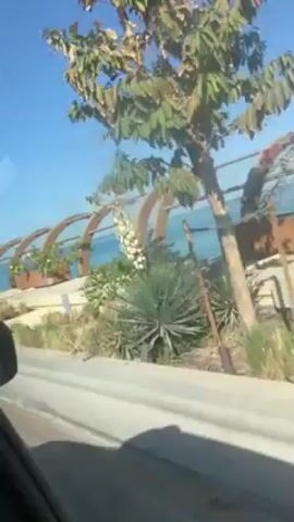 A car drives along a road on a sunny day. Through the window, we see a coastal area with the ocean in the background. A walkway runs parallel to the road, featuring an architectural design with arched metal structures and planted areas with flowers and desert vegetation. The sky is clear blue.