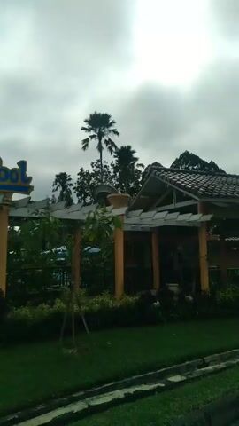 Here is a description of the video:

The video shows the entrance to the "Big Bunny" Swimming Pool. The camera is slightly elevated and pans upwards to capture the sign. The sign itself is bright and colorful, featuring a cartoon bunny riding a wave. It's supported by a pergola-like structure with orange columns. Behind the sign and pergola, there's a dense patch of greenery. Palm trees are visible in the background against a cloudy sky. The scene is set in a well-maintained outdoor area with grass and a concrete border.