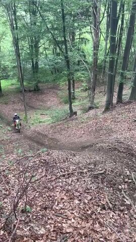 A motorcyclist is riding a dirt bike up a steep, forested slope. The rider wears a helmet, goggles, and protective gear, including a patterned black and white jacket, red pants, and colorful boots. The motorcycle is yellow, white, and black. The ground is covered in brown leaves and dirt, with trees lining the sides of the path. The rider successfully navigates the incline, maneuvering the bike skillfully.