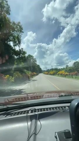 A POV shot from inside a vehicle shows a paved road with a yellow line down the center, lined with lush green trees and vibrant red and yellow foliage. The sky is blue with scattered white clouds, and the sun is shining brightly. The interior of the vehicle is visible in the foreground, including the dashboard, windshield wipers, and a charging cable. In the side mirror, another vehicle is visible, and the passenger's bare feet are resting on the dashboard. The camera pans slightly to the right, capturing the scenery as the vehicle drives along.