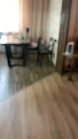 A pug dog jumps from a table onto a chair in a dining room. The pug is light-colored with black markings on its face. It is on a dark wood table with placemats. There are several chairs around the table, and a window with sheer curtains in the background. The walls are white brick. The floor is tiled in a wood-grain pattern.