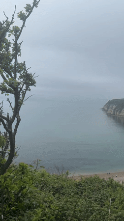 Sunday morning coastal walks documented across East Devon countryside