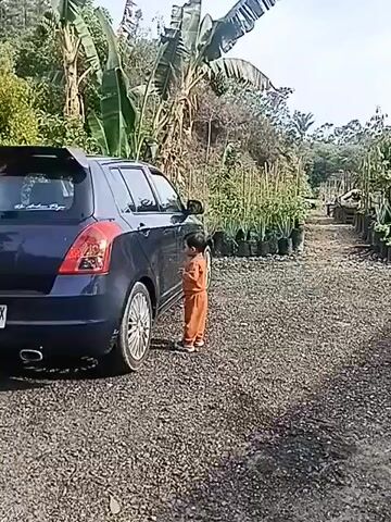 A young child wearing an orange tracksuit stands next to a dark blue hatchback car parked on a gravel lot. The child is facing the car and appears to be interacting with it. The car is positioned in the foreground, on the left side of the frame. In the background, there are rows of potted plants, lush vegetation including banana trees, and a hilly landscape under a clear sky. The child then turns and begins to run away from the car towards the right side of the frame, disappearing from view.