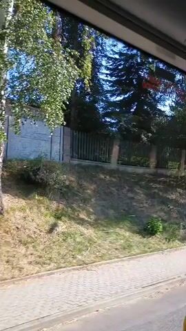 The video shows a view from a moving vehicle, likely a bus, looking out a window. The window reflects the interior of the vehicle, including parts of the ceiling and a yellow grab handle at the bottom right. Outside, a street is visible with a sidewalk and a grassy embankment. Trees and foliage line the embankment, with some homes or buildings partially visible behind the trees. A tall, slender pole, possibly a lamppost, stands on the embankment. The scene appears to be a daytime, outdoor environment. Text on the window indicates "Příští zastávka staré" which translates to "Next stop old".