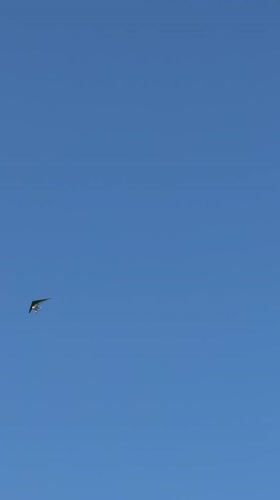 Aerial activity observed over Pokhara during early morning hours