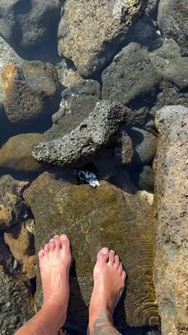 The video begins with a top-down view of a person's feet standing in shallow water among rocks. A dark, porous rock is visible in the water, with a black and white object partially submerged near it. A hand reaches into the water and picks up the object, which is revealed to be a surf fin. The fin is black with white markings and appears to be partially covered in barnacles or other marine growth. The video then pans out to show the person holding the fin up with the ocean and rocky shoreline in the background. The sky is bright and sunny.
