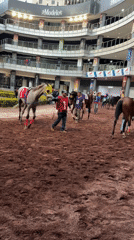 Horse racing event documented at Mexico City racetrack facility