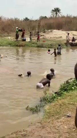 Several children are playing and swimming in a muddy river. Some are standing, wading, or splashing in the water near the riverbank, while others are further out. On the left riverbank, there are several women standing, some carrying containers on their heads, apparently drawing water. A few other children are also on the left riverbank. The river is surrounded by vegetation and sandy areas. The sky is overcast. A palm tree is visible in the background.