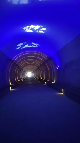 This is a vertical, first-person perspective video shot inside a tunnel. The tunnel is illuminated with blue lights on the ceiling, which project white cloud-like shapes. The walls of the tunnel are lined with concentric rings of orange and yellow lights, creating a sense of depth and perspective. Small, yellow lights are also positioned along the base of the tunnel walls. At the far end of the tunnel, there is a bright white light, and several silhouetted figures can be seen walking towards it. The floor of the tunnel appears to be a dark, textured surface. The video is brief, with the camera remaining stationary throughout.