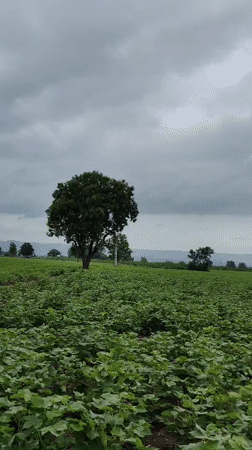 Waghola, India