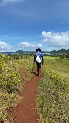 A man wearing a blue shirt, dark shorts, a blue hat, and carrying a white backpack walks along a dirt path through a grassy field on a sunny day with scattered clouds. The path leads towards a distant body of water with small islands. The field is covered in green and yellow grass with some shrubs along the path. The sky is a bright blue, and the water is calm. The man walks away from the camera.