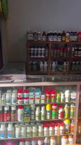 The video pans across a store that appears to sell agricultural chemicals and supplies. The shelves are filled with numerous bottles and containers of various sizes and colors, many of which have labels indicating they are pesticides, fertilizers, or other agricultural products. Some shelves are made of wood, while others are part of a glass display case. In the background, there is a window covered by green and yellow curtains. A few framed pictures hang on the wall above the shelves. The lighting suggests it is daytime. There are no people visible in the video.