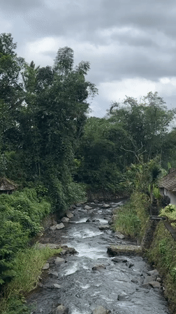 Morning documentation of Jatiluwih Village rice terraces in Bali