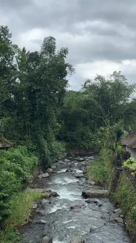 Morning documentation of Jatiluwih Village rice terraces in Bali