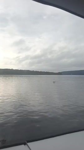A slow-moving shot from inside a vehicle shows a large body of water under a cloudy sky. A single white buoy with red markings is visible in the center of the frame, floating on the water. In the distance, a tree-lined shore is visible. The foreground of the shot is dominated by the interior of the vehicle, with a white dashboard and dark window frames.