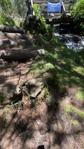 The video shows a small waterfall cascading over rocks in a forested area. Sunlight filters through the trees, casting dappled shadows on the ground. There is a wooden bridge or walkway over the water. Two people are visible in the distance near the bridge, one wearing a white shirt and the other wearing dark clothing. Pine needles and grass cover the ground.