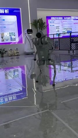 A four-legged robot stands in a modern, indoor space with shiny, tiled floors that reflect the surroundings. The robot is gray and features a boxy body, segmented legs, and a head with a black screen. It is positioned between two large informational boards, one on the left and one on the right, displaying text in what appears to be Chinese. A small potted plant and two toy-like robots sit in the background to the left of the robot. A black metal railing is visible to the right. The robot moves, lifting its arms and shifting its weight slightly. The floor reflects the images on the boards and the robot's movements, creating a visual effect.