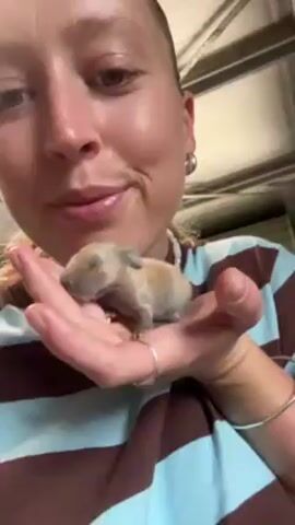 A woman with light skin, light eyes, and light hair pulled back, wearing a brown and light blue striped shirt, silver hoop earrings, a thin silver ring on her left hand, and a beaded necklace, is holding a tiny, sleeping, naked baby rabbit in her left hand.  The rabbit is light brown. The background is slightly out of focus but appears to be an indoor space with light filtering through a window or opening. The woman is looking down at the rabbit with a slight smile. The lighting is bright and natural.