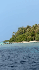 Peaceful tropical island scene recorded in Guraidhoo, Maldives