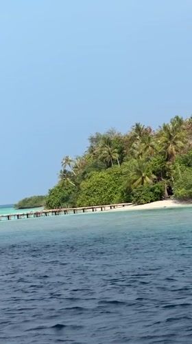 Peaceful tropical island scene recorded in Guraidhoo, Maldives