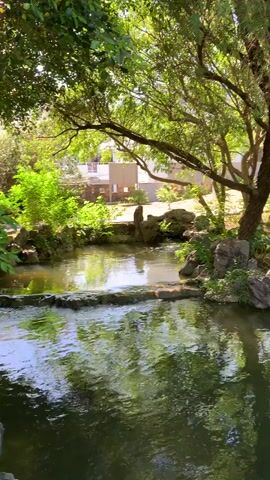 The video begins with a close-up of a reflective body of water surrounded by lush green trees. The camera slowly pans to the right, revealing a picturesque scene of a traditional Chinese-style garden. In the center, a stone bridge with ornate carvings spans across the water. On the bridge, there is a decorative pavilion with a tiered, dark-colored roof. Rocky outcrops and dense foliage frame the edges of the waterway. In the background, beyond the bridge and trees, a tall, multi-story building with a pagoda-like structure is visible. The sky is a clear, bright blue, indicating a sunny day. A person can be briefly seen on the far right side of the bridge, standing near the railing. The water's surface shimmers, reflecting the greenery and the sky.