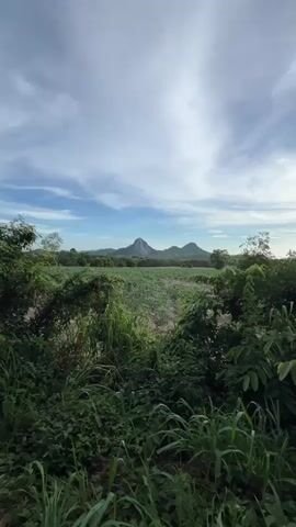 A full shot of a mountain with a carved image of Buddha on it. The mountain is surrounded by trees and a field of crops. The sky is blue with some clouds.