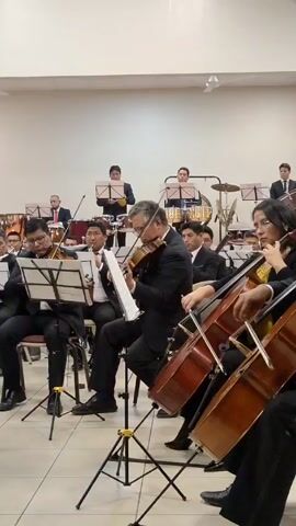 An orchestra is playing. Several people in suits are sitting and playing violins and cellos. In the back, more people are playing other instruments. Most of the performers are looking at music sheets. The music is lively. The room is bright and has a white floor.
