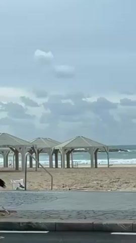 The video shows a beachfront scene under a cloudy sky. In the foreground, a palm tree stands with its trunk prominently displayed, obscuring part of the view. Beyond the tree, the beach is lined with a series of identical, open-sided structures with white frames. The beach is sandy and several dark-colored birds are visible, some walking on the ground and others in flight. The ocean stretches into the distance, with gentle waves visible. The overcast sky contributes to a muted and slightly somber atmosphere. A short concrete border is seen near the bottom edge of the frame.
