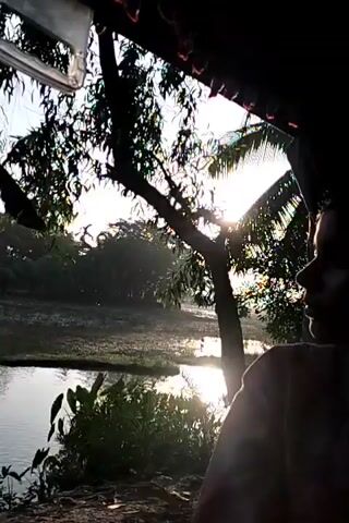 The video shows a person standing under a covered structure, looking out at a body of water. The person is mostly in silhouette. There are palm trees partially obscuring the view. The sun is visible in the sky, and its light is reflected in the water. The landscape surrounding the water appears to be a field or marsh. The overall tone of the scene is peaceful and serene.